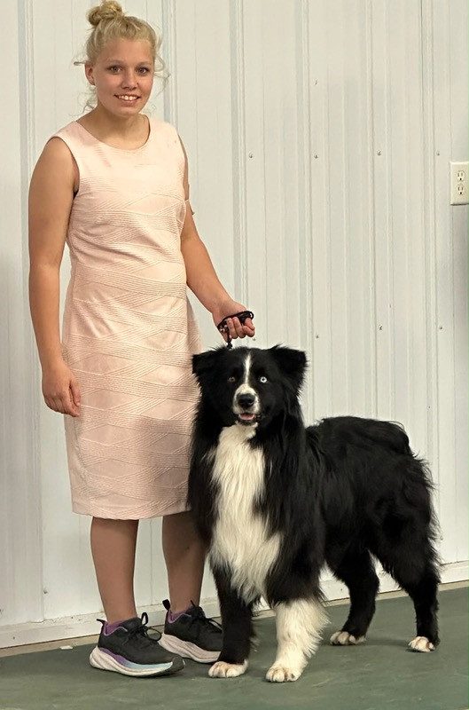 Sire Image