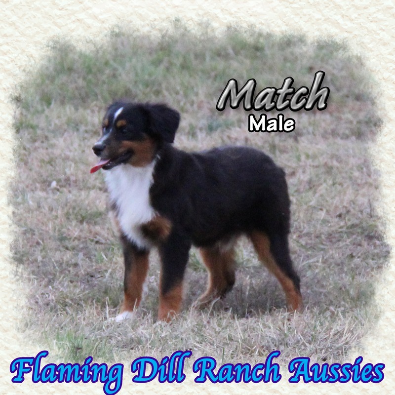 image_623443_1765353777684