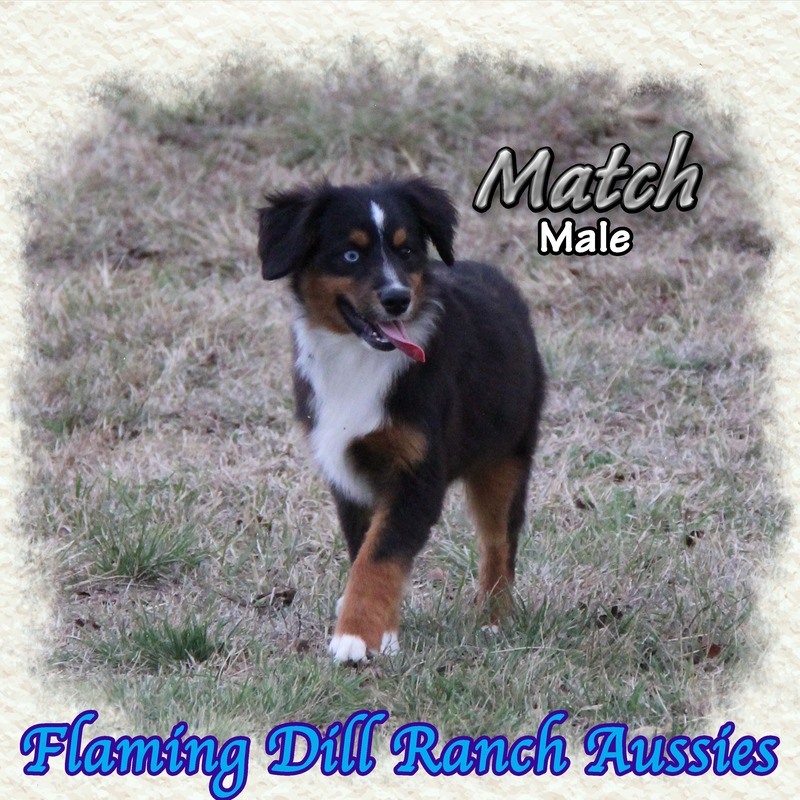 image_623443_1765353777687