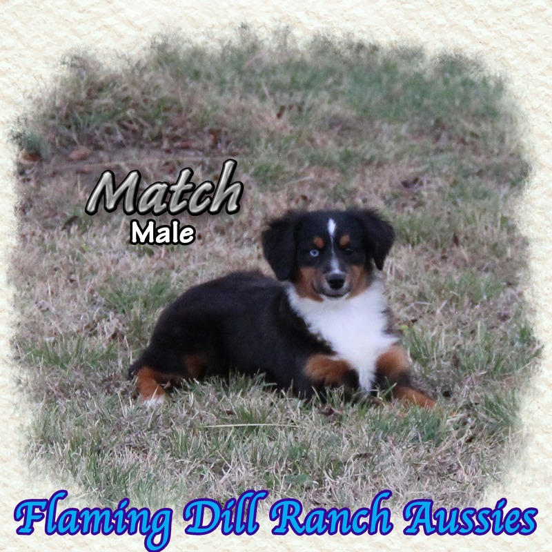 image_623443_1765353777689