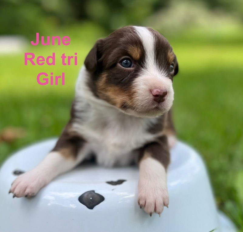 image_undefined_1785668031712