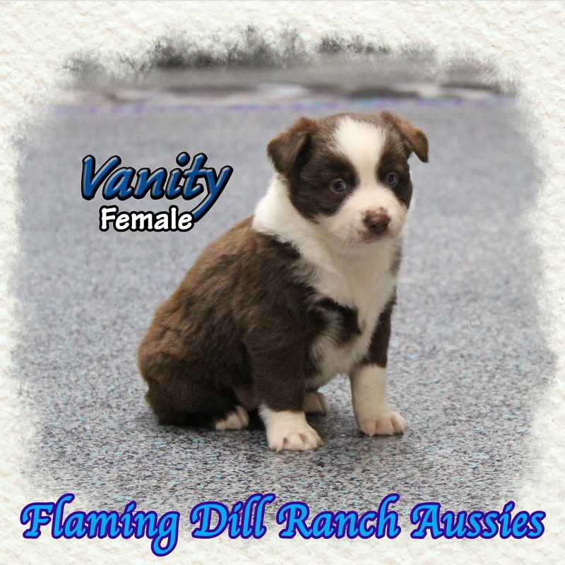 image_633802_1765430473581