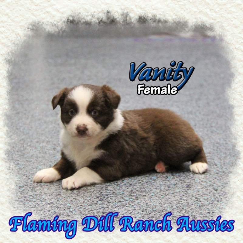 image_633802_1765430473583