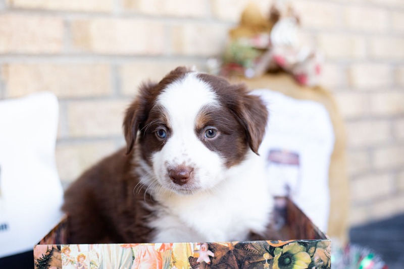 image_631501_1765469822742