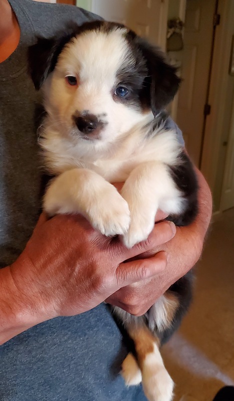 image_631504_1765471121790