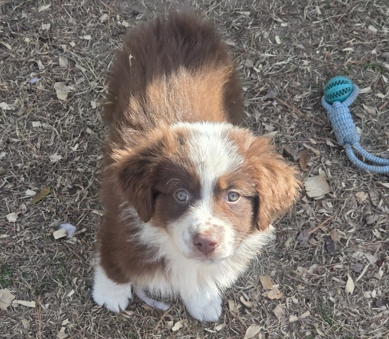 image_undefined_1766416674270