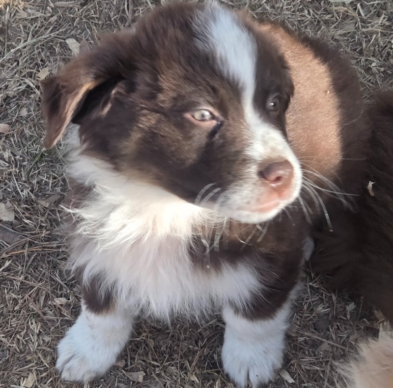 image_undefined_1766416772581