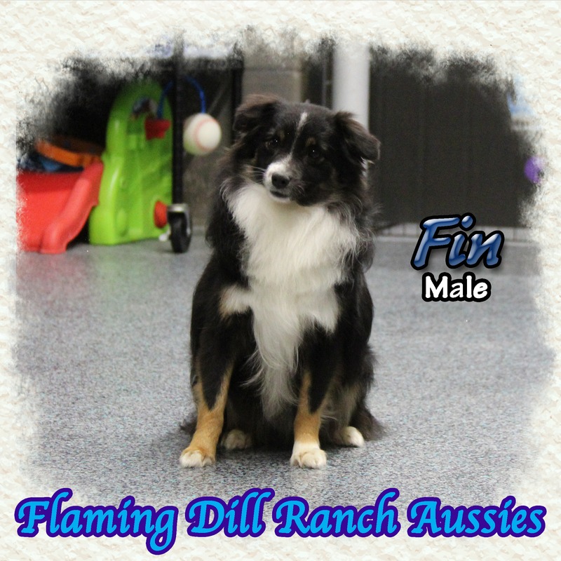 image_610900_1767899803747