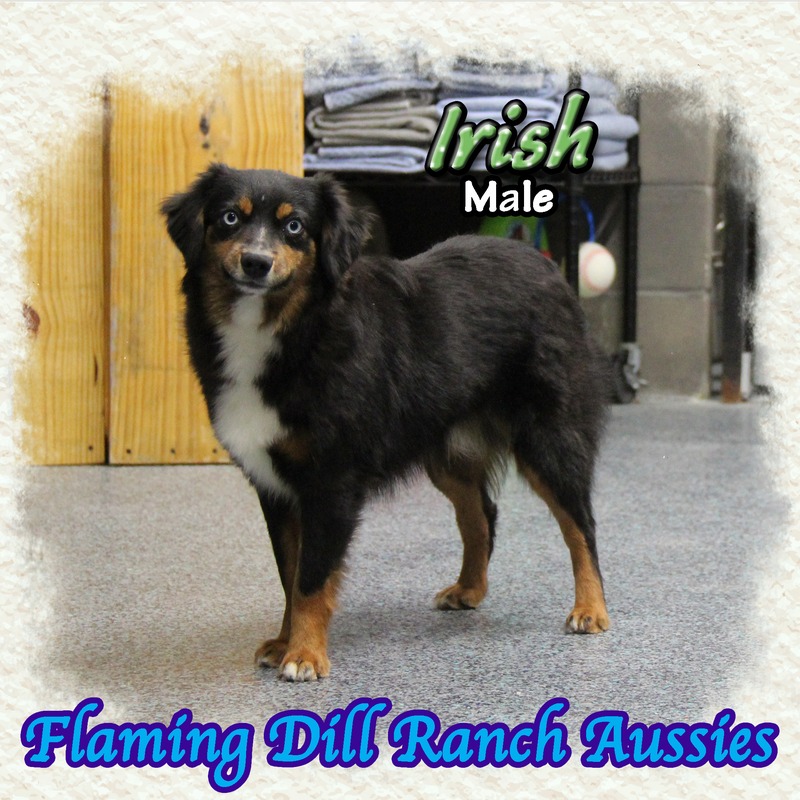 image_612755_1767899960867