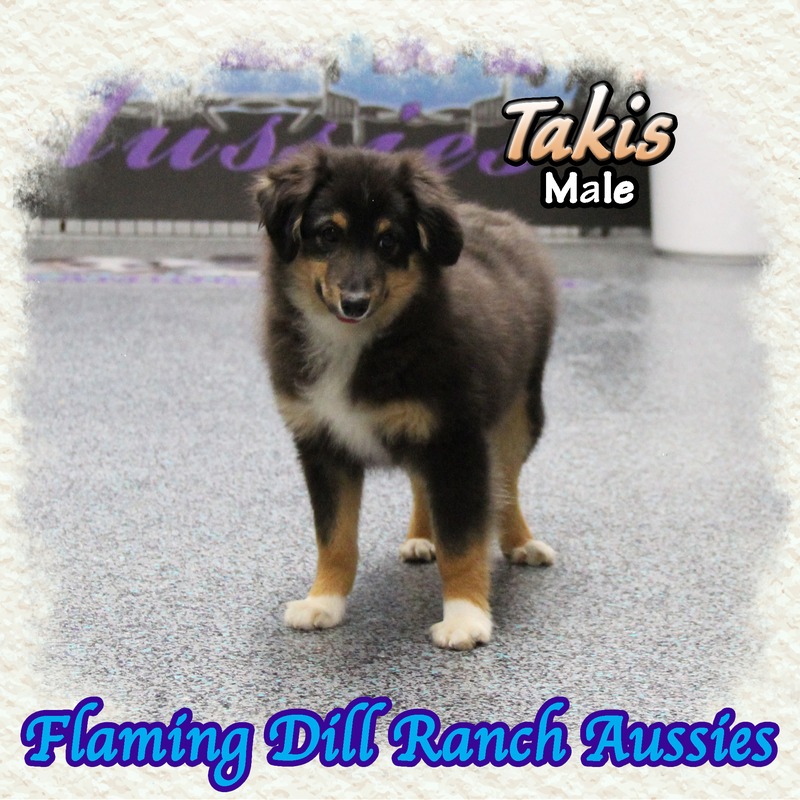 image_629148_1767901423108