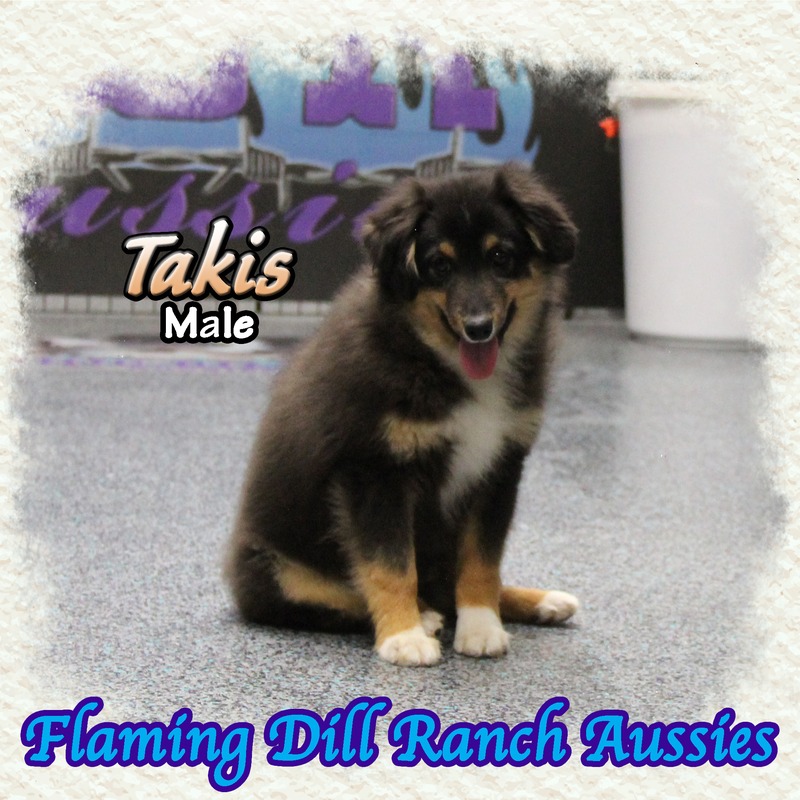 image_629148_1767901423110