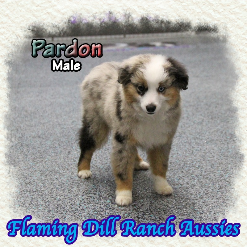 image_631140_1767902099563