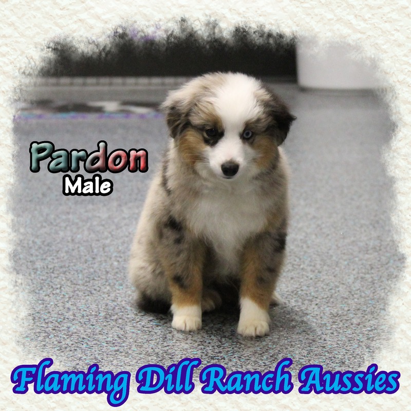 image_631140_1767902099565