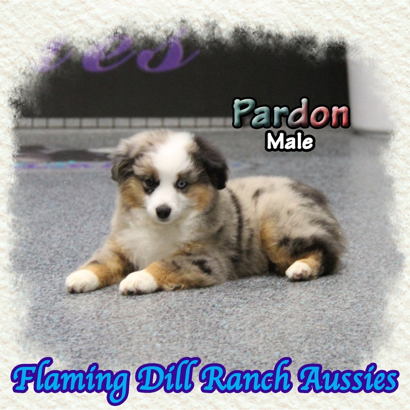 image_631140_1767902099567