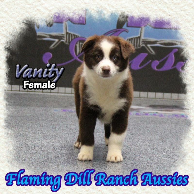 image_633802_1767902211167