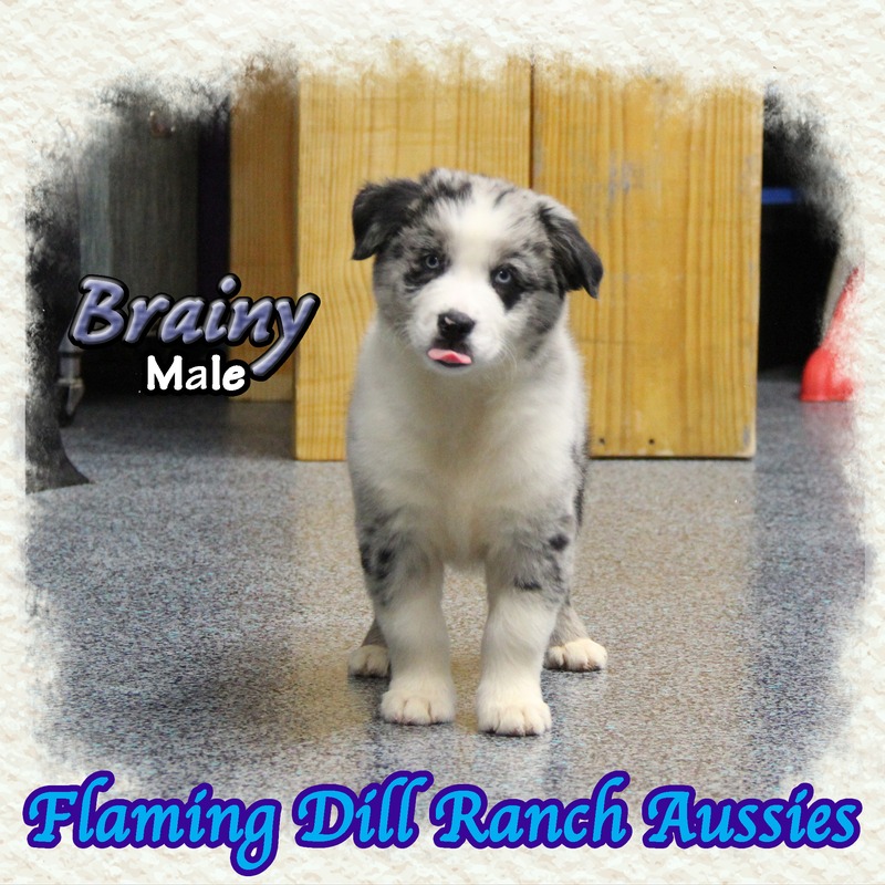 image_633799_1767902518258