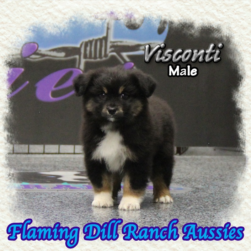 image_634536_1767902675280