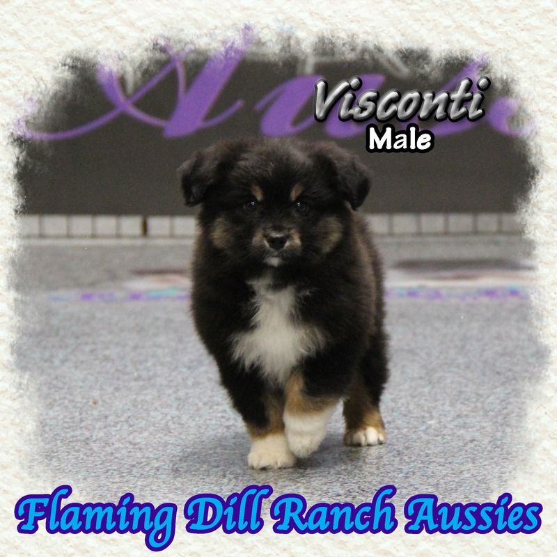 image_634536_1767902675283