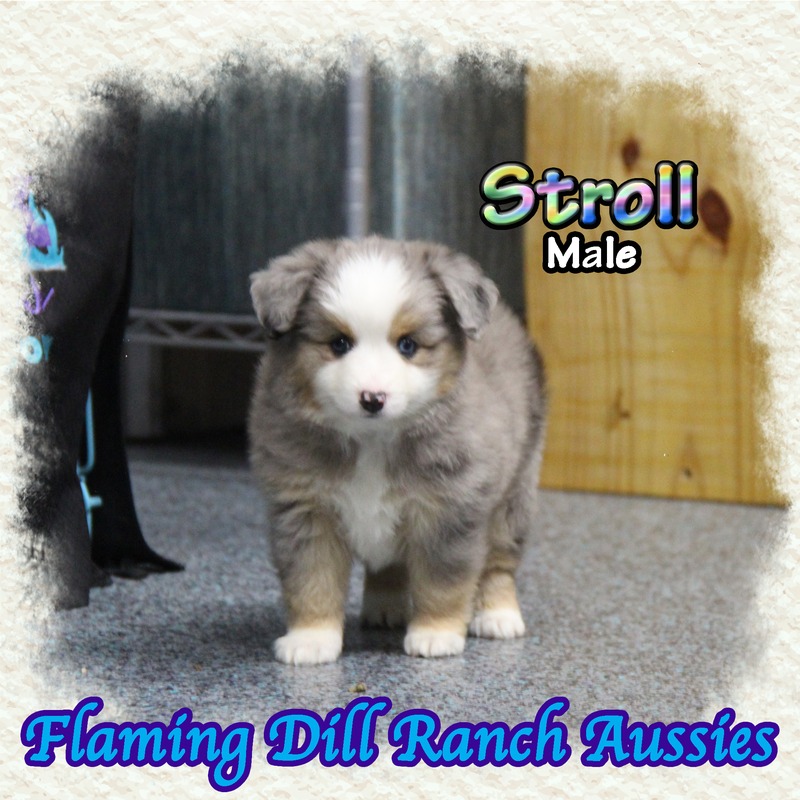 image_635588_1767904536982