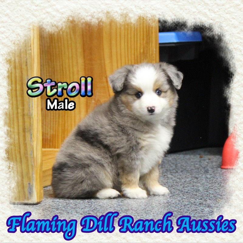 image_635588_1767904536983