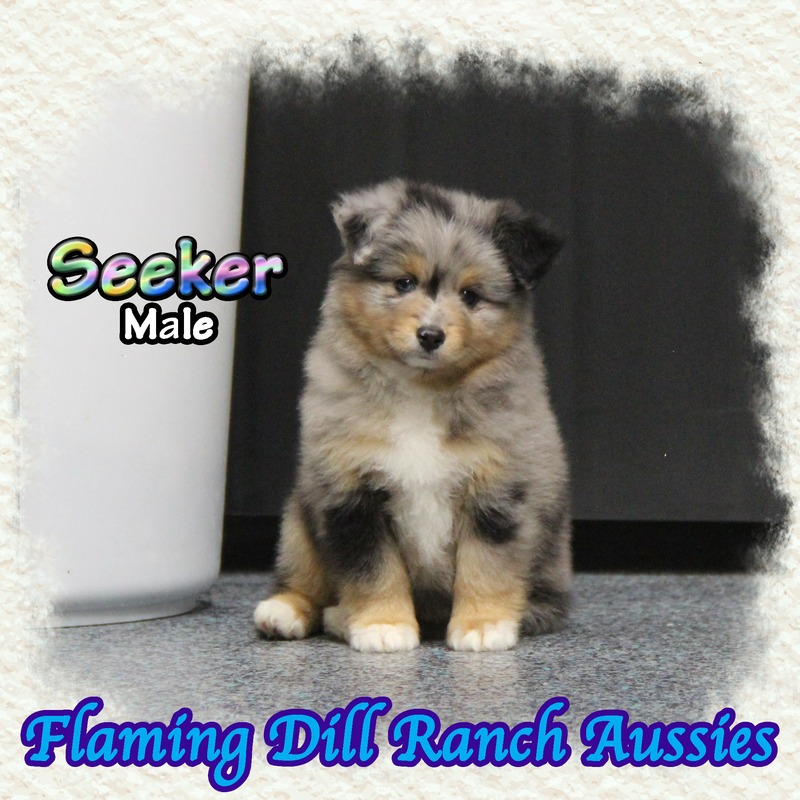 image_635587_1767904737516