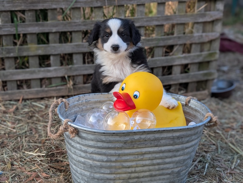 image_636616_1768493689824