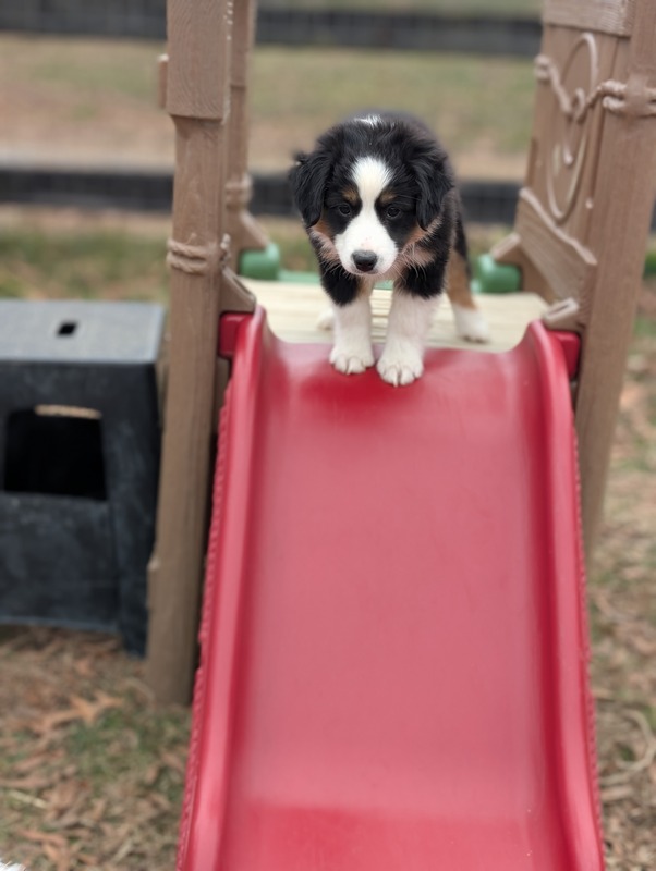 image_636616_1768493689832