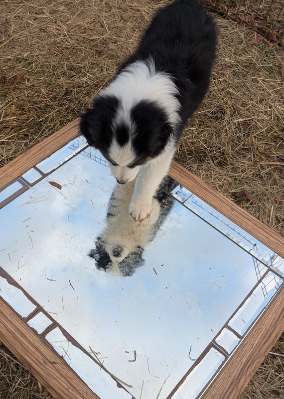 image_636615_1768493957921