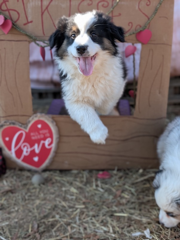 image_636615_1768493957928