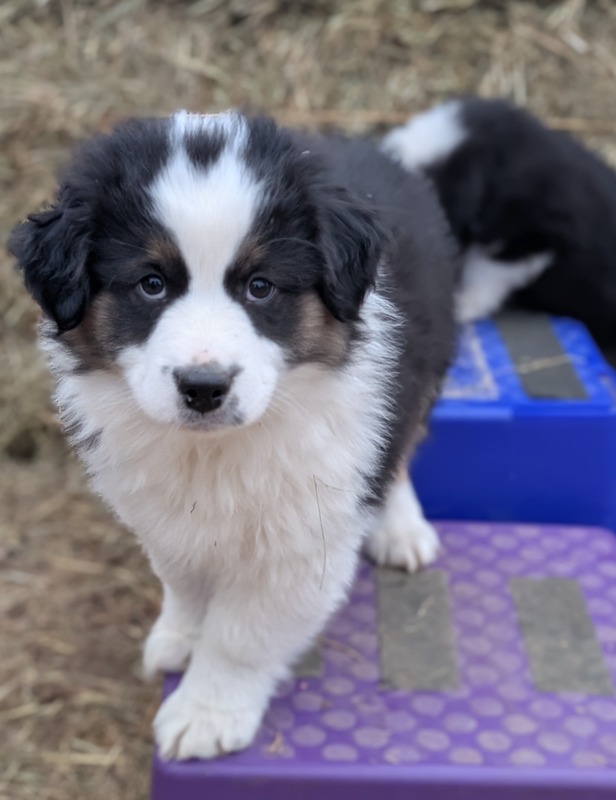 image_636615_1768493957932