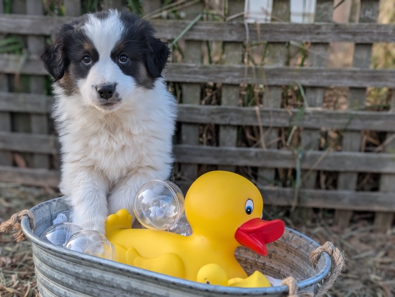 image_636615_1768493957942