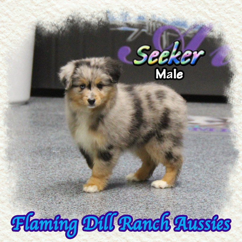 image_635587_1770096958884