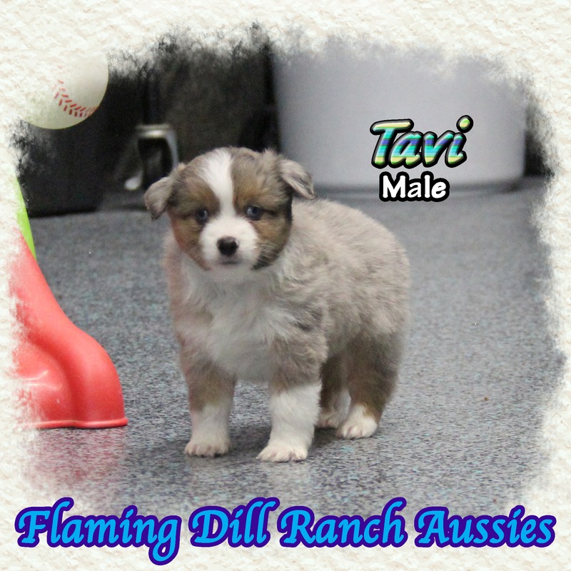 image_639161_1770098597143