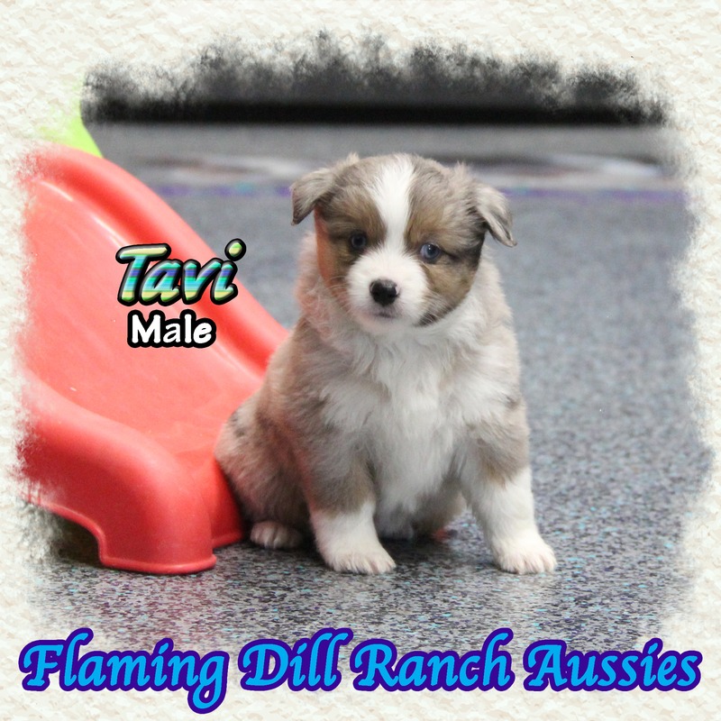 image_639161_1770098597145