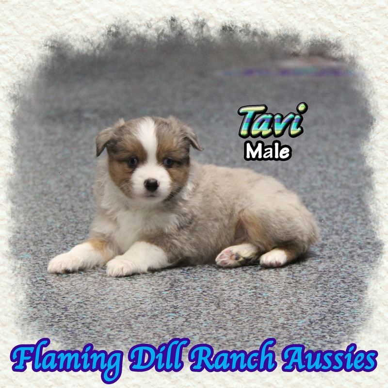 image_639161_1770098597147