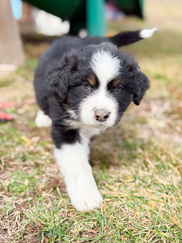 image_641984_1771637861052