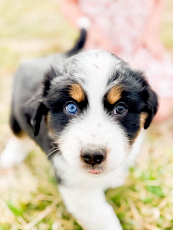 image_641986_1771638102007