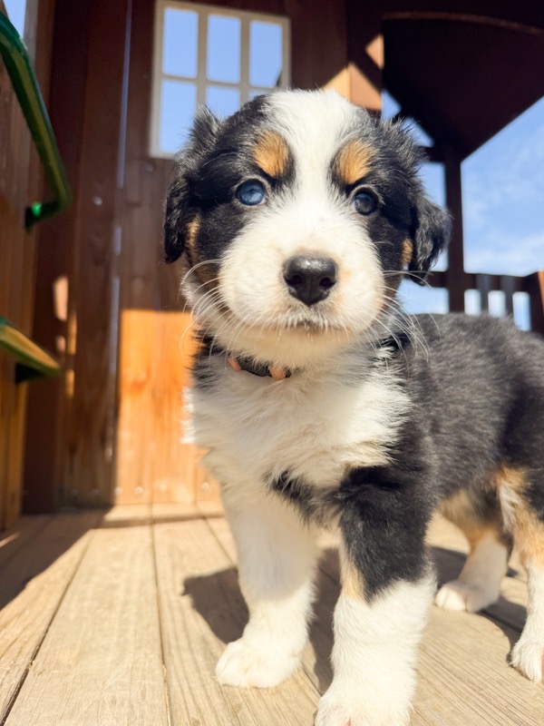 image_641986_1771638102008