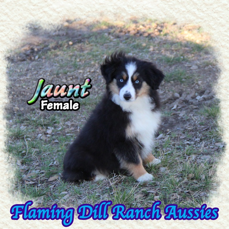 image_undefined_1771903077196