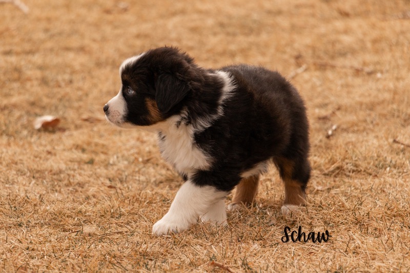 image_642905_1772472632406