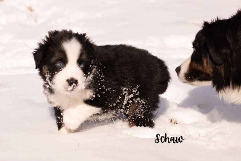 image_642905_1772472632407