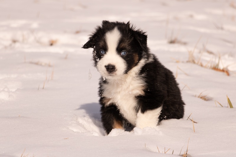 image_642905_1772472632408