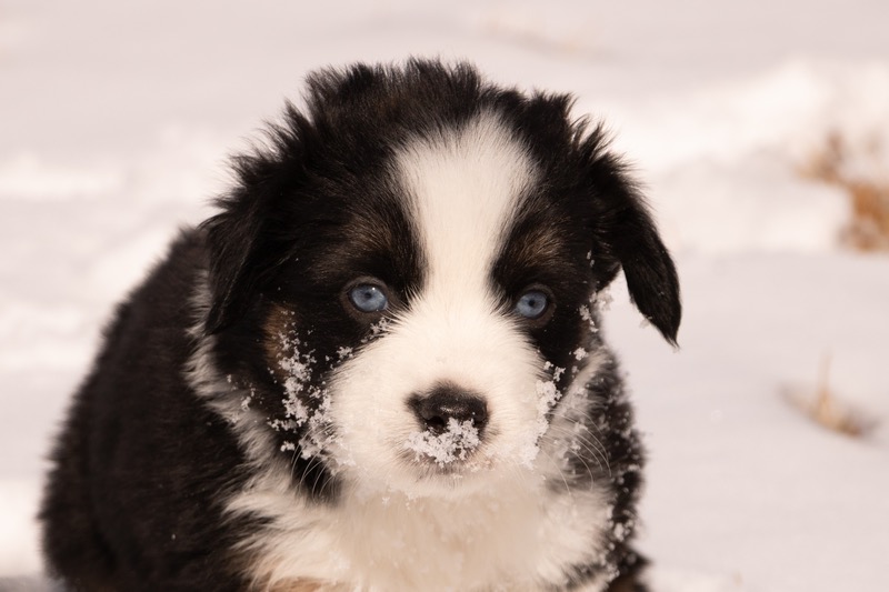 image_642905_1772472632408