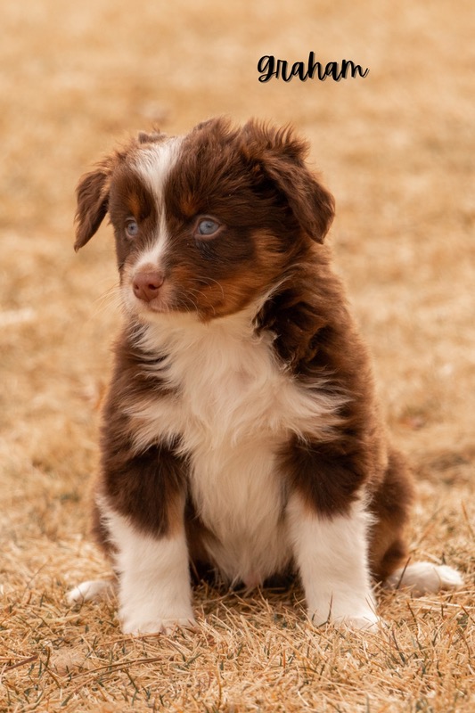 image_642906_1772473008050