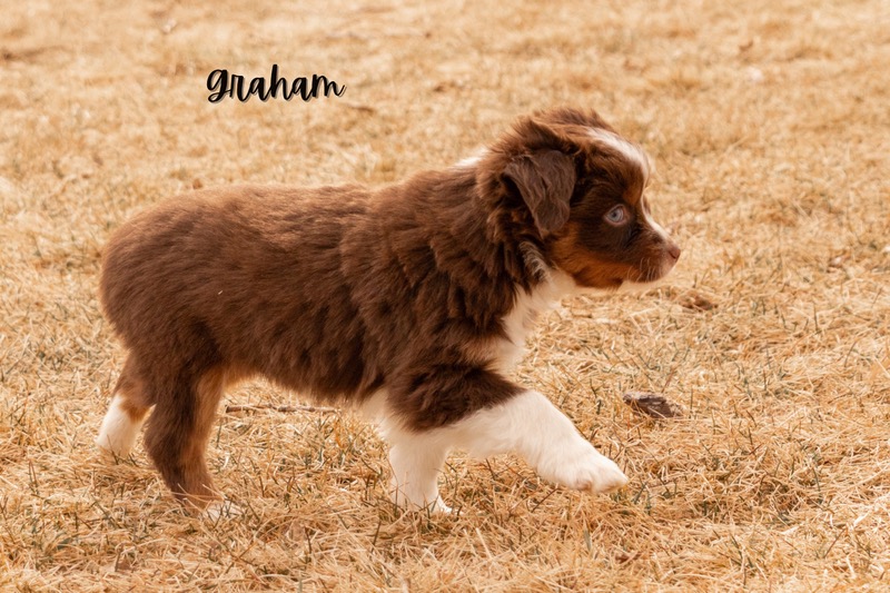 image_642906_1772473008051