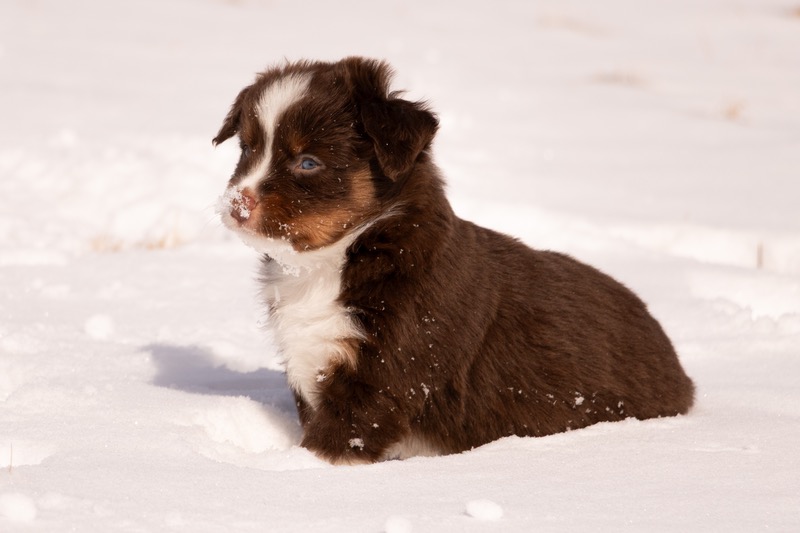 image_642906_1772473008053