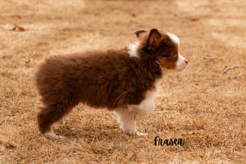 image_642907_1772473492124