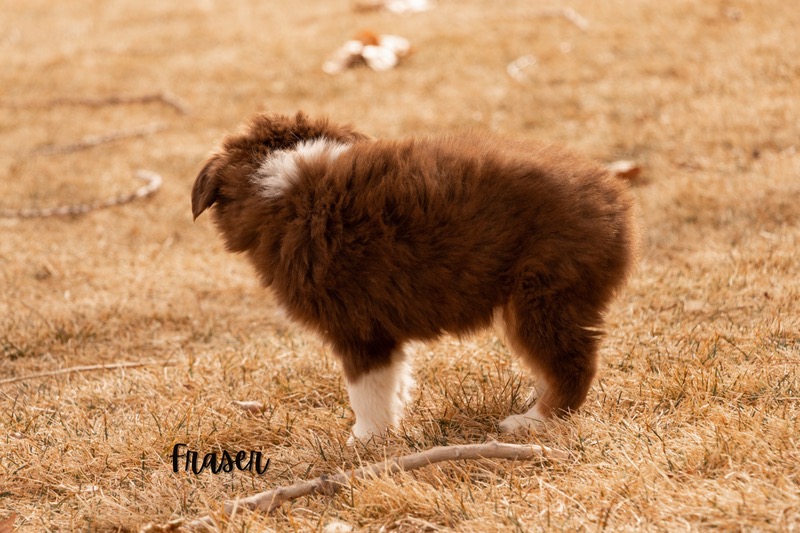 image_642907_1772473492125