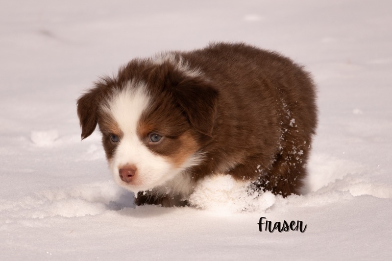 image_642907_1772473492126