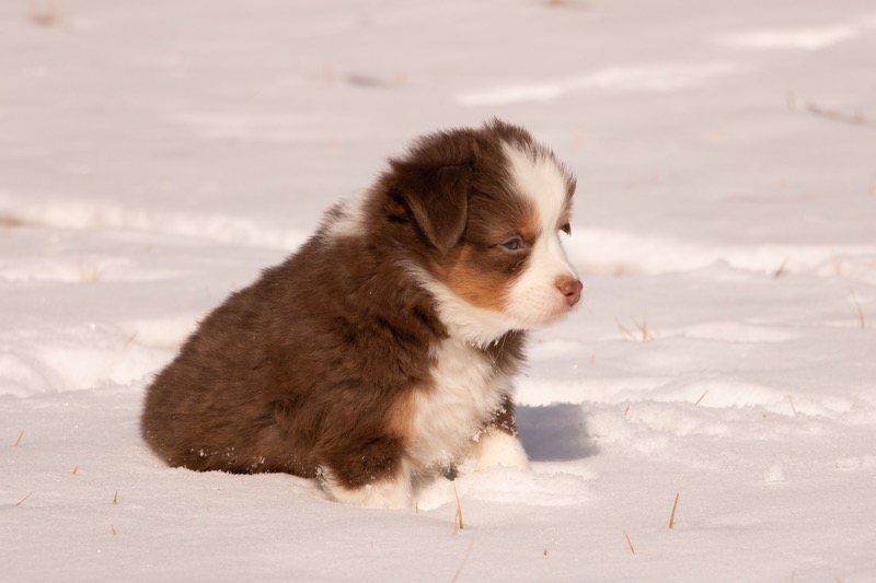 image_642907_1772473492126